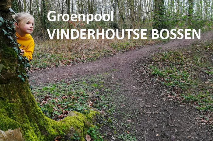 In 2014 plantten kinderen uit scholen in de omgeving bosgoed op percelen in de Heiebreestraat